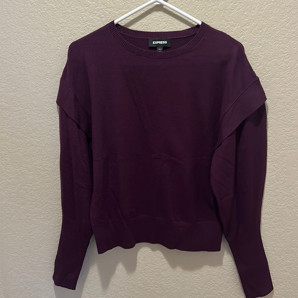 Express Crewneck Banded Bottom Sweatee